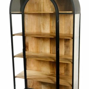 וטרינת דגם יהונתן