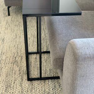 נשכן זכוכית רגל שחורה