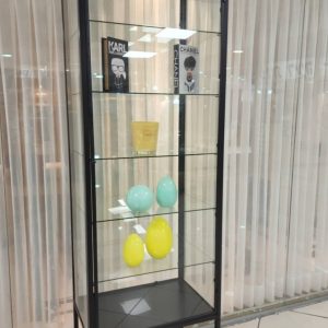 וטרינת דגם שנהב