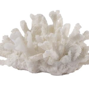 פסל דגם קלאוד