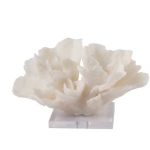 פסל דגם גרייס