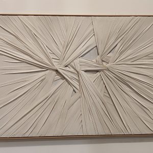 תמונה מעוצבת דגם לביא