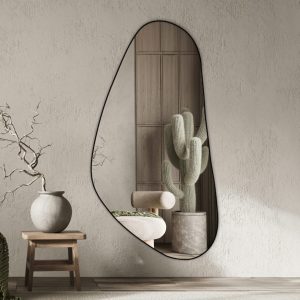 מראה אסימטרית בצבע שחור